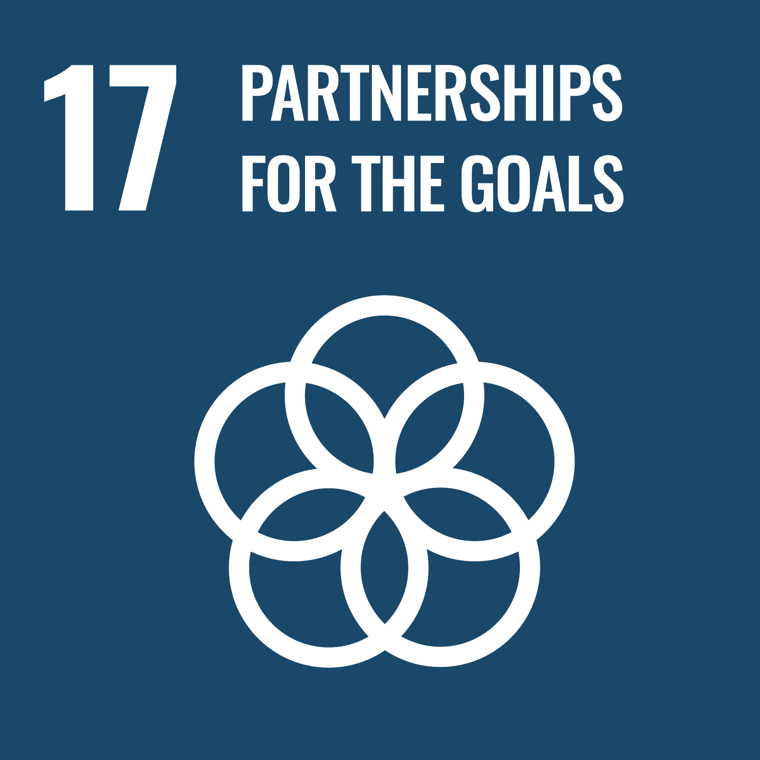 SDG17 logo