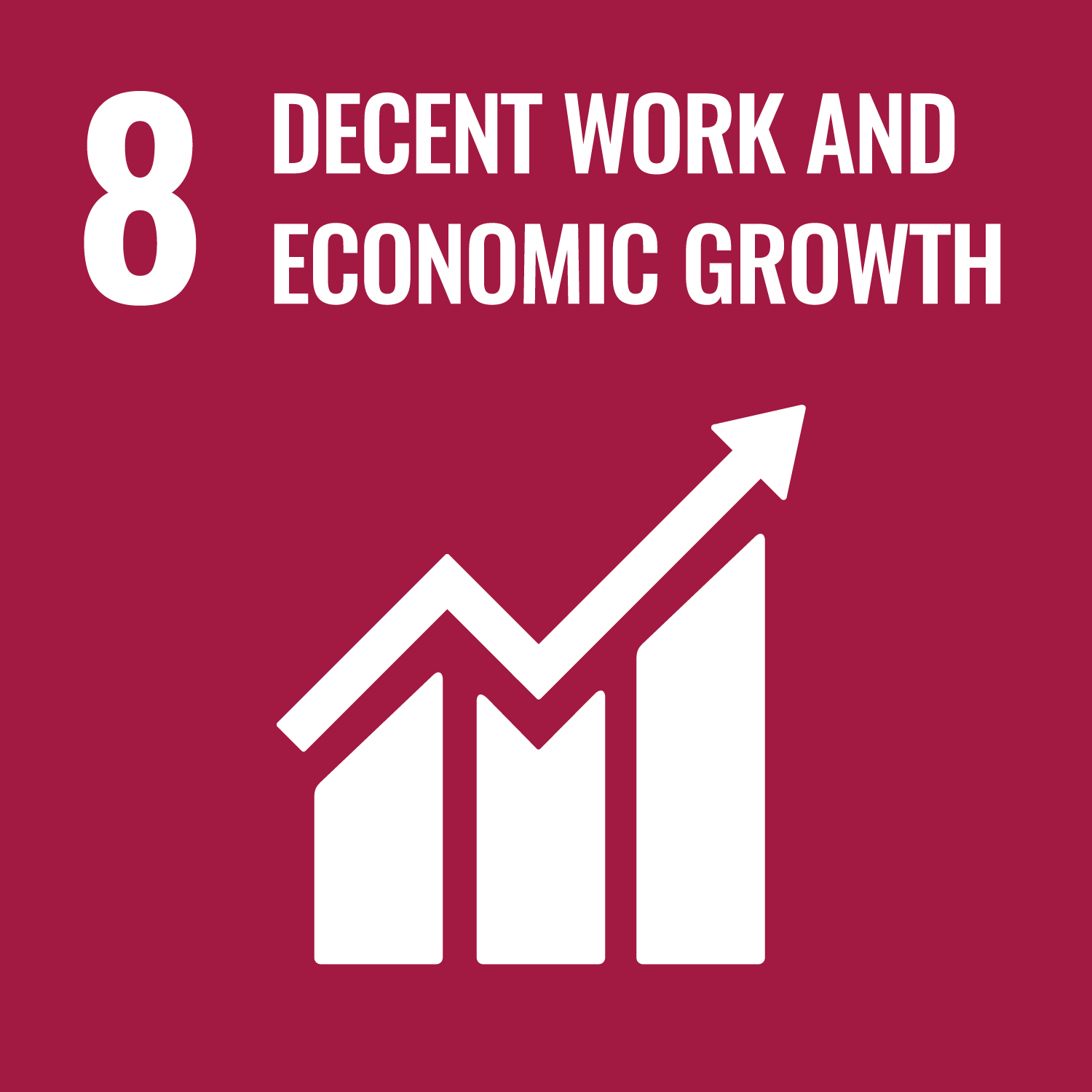 SDG8 logo
